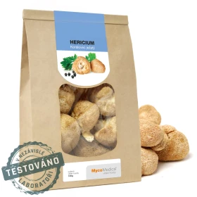 Hericium Suszone - 100 g - MycoMedica