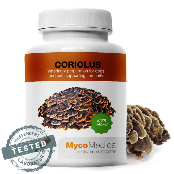 Sklep_Konopny_MycoMedica_Coriolus_01.jpg