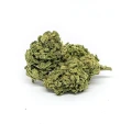 Sklep_Konopny_Sativa_Poland_Susz_Tropicana_01.jpg