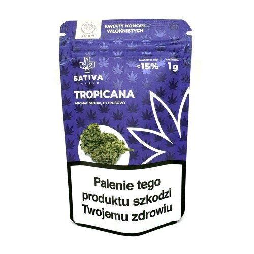 Sklep_Konopny_Sativa_Poland_Susz_Tropicana_02.jpg