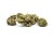 Sklep_Konopny_Sativa_Poland_Susz_Super_Silver_Haze_01.jpg