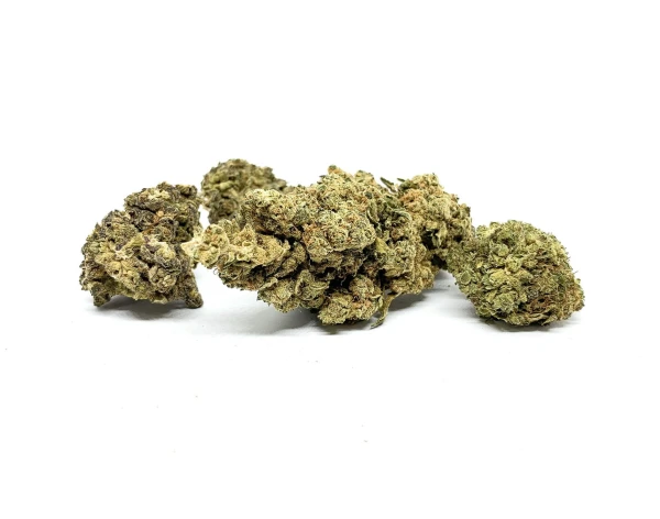 Sklep_Konopny_Sativa_Poland_Susz_Super_Silver_Haze_01.jpg