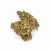 Sklep_Konopny_Sativa_Poland_Susz_Green_C_01.jpg