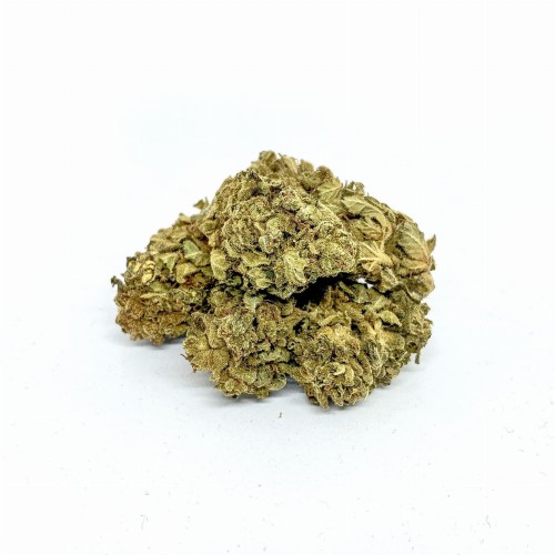 Sklep_Konopny_Sativa_Poland_Susz_OG_Kush_01.jpg