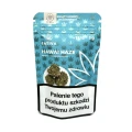 Sklep_Konopny_Sativa_Poland_Susz_Hawai_Haze_02.jpg
