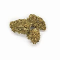 Sklep_Konopny_Sativa_Poland_Susz_Hawai_Haze_01.jpg
