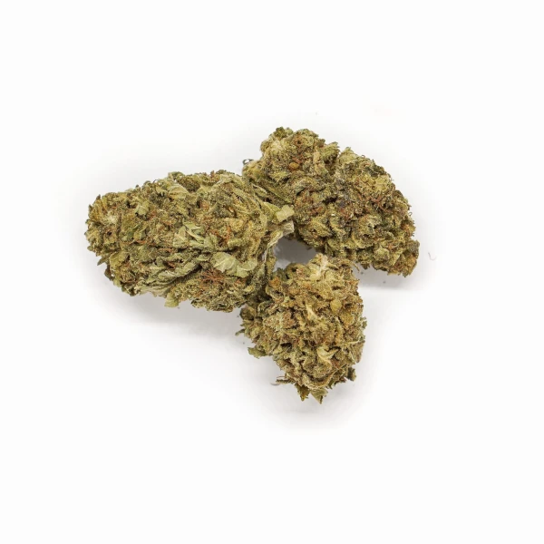 Sklep_Konopny_Sativa_Poland_Susz_Hawai_Haze_01.jpg