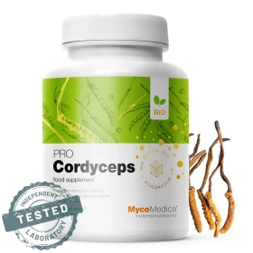 Cordyceps PRO - 90 Kapsułek - MycoMedica