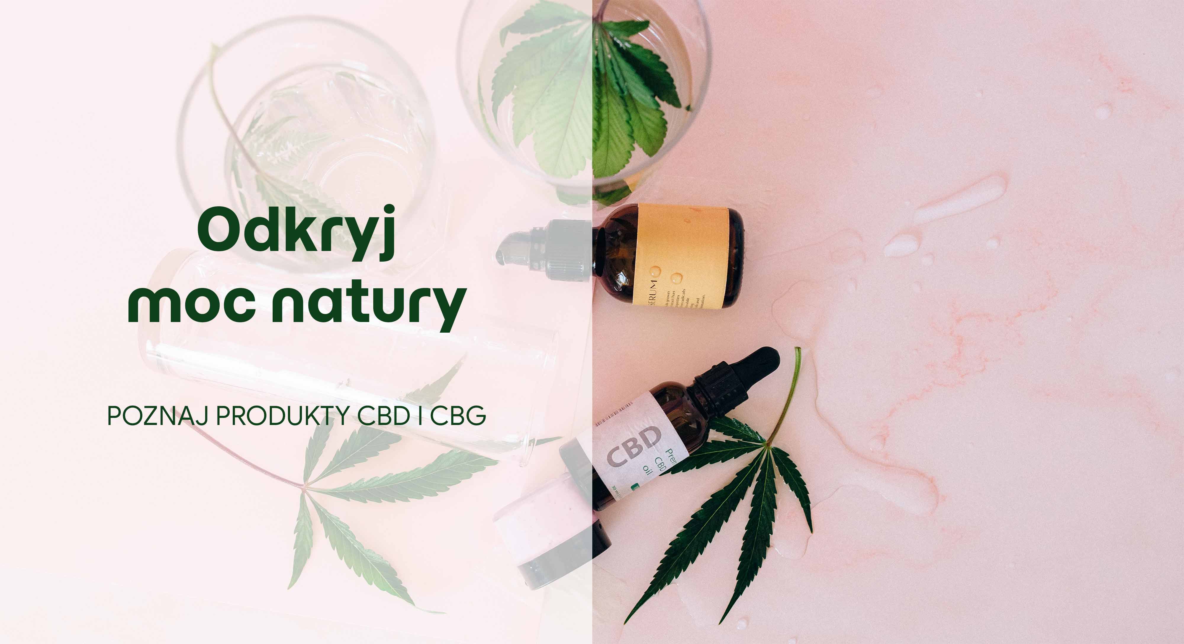 Grafika z produktami konopnymi z oferty sklepu konopnego.