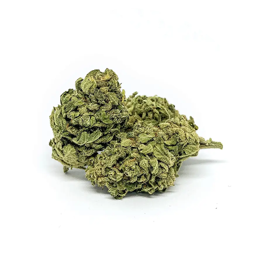 Susz CBD