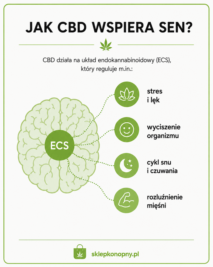 Infografika przedstawiająca działanie CBD na sen.
