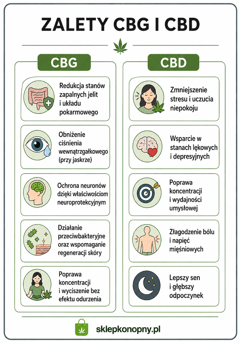 Grafika porównująca działanie CBG i CBD.